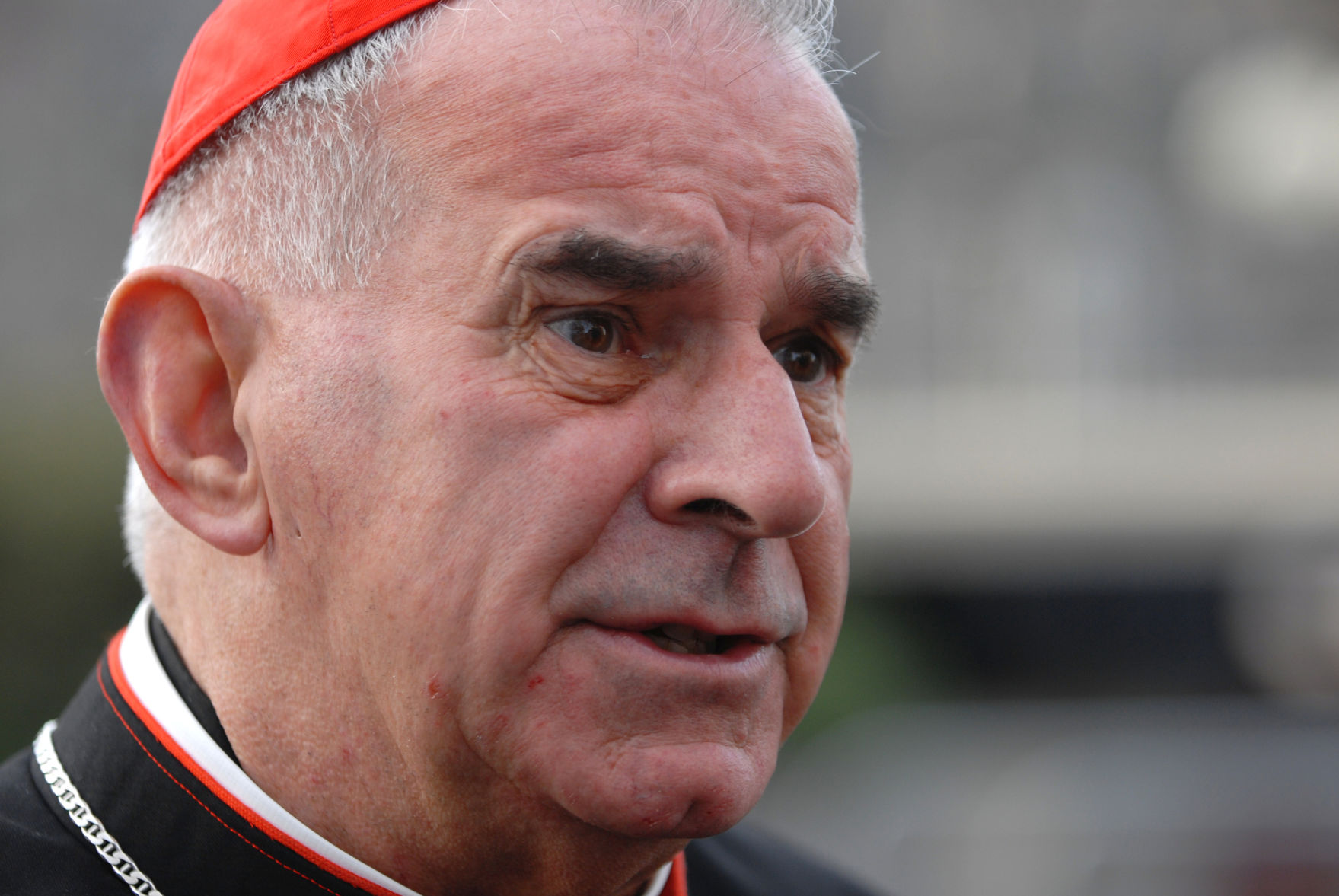 Britain Cardinal